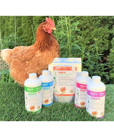 Chick'n Calcium & Vitamin D3 Supplement for Poultry Chicks and Turkeys - Buy Online on GoSupps.com
