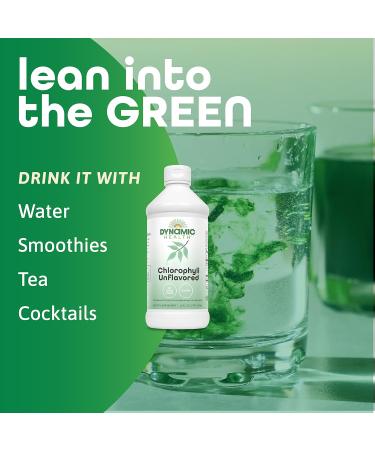 Dynamic Health Liquid Chlorophyll Unflavored 100 mg Sodium Copper Chlorophyllins with Alfalfa and Mulberry Leaves Plant Cleanse and Deodorizing No Added Sugar 16 Fl Oz 16 Fl Oz (Pack of 1) - Buy Online on GoSupps.com