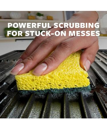 Scotch-Brite Heavy Duty Scrub Sponges - 24 Pack for Washing Dishes and Cleaning Kitchen - Buy Online on GoSupps.com