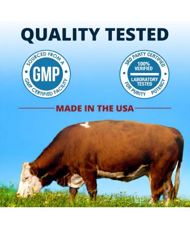 Dr. Boz - Beef Liver Capsules 30 Servings - 4500mg Cow Liver - Energy Immunity & Health - Vitamin A B12 Zinc & Iron Supplement - Grass Fed & Pasture Raised Cows - Made in The USA - Self Care - Buy Online on GoSupps.com