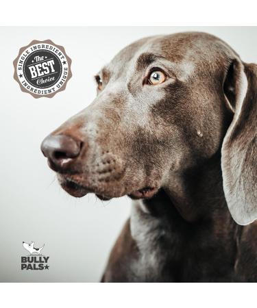 BULLY PALS - 12 inch Beef Tail - Dog Dental Chew Treats - 7 Pack - (480 gr) - Cow Tail - Long Lasting All Natural Rawhide Free - Ox Tail - Buy Online on GoSupps.com