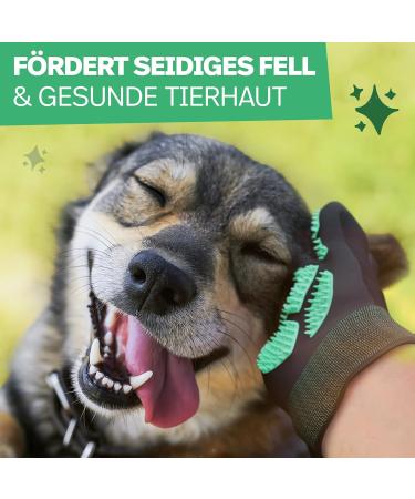 Lieman Nursing Shoe for Cats & Dogs | Adjustable Velcro Fit | Unique Fur Care Glove for Effective Grooming (1 Pair) - Buy Online on GoSupps.com