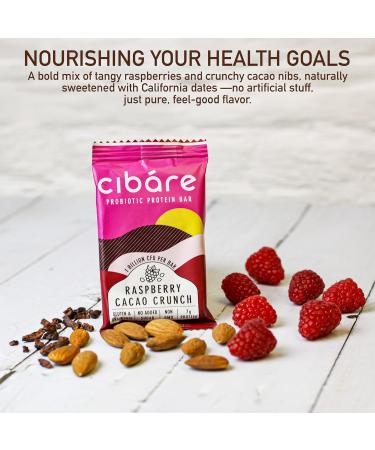 Cib re Probiotic Protein Bars - Plant-Based Snack with 1 Billion Probiotics, 7g Pea Protein, No Added Sugar, Gluten-Free, Soy-Free, Vegan, Raspberry Cacao Crunch (12 Count) - Buy Online on GoSupps.com