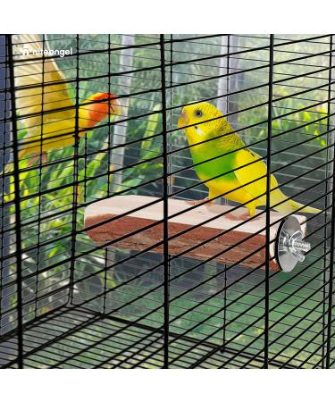 Niteangel Parrot Cage Perch - Wooden Platform for Birds (2 Pack) - Buy Online on GoSupps.com