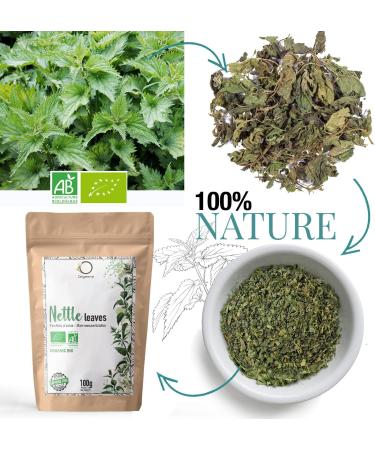 ORIGEENS Organic Nettle Tea 100g | Detoxifying Stinging Nettle Leaf Herbal Tea | Draining & Remineralizing | Organic Nettle Tea - Buy Online on GoSupps.com