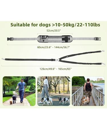 Pecute Two Jogging Lines for Medium & Large Dogs | Elastic Running Leash with Belt Bag | Up to 100kg | Durable Dog Leash in Gray - Buy Online on GoSupps.com