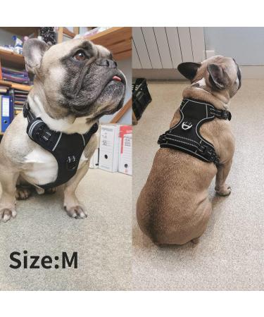 Heele No-Pull Dog Harness for Small Dogs | Adjustable Reflective Breathable with Padded Handle | XS Size Black - Perfect for Comfort & Control - Buy Online on GoSupps.com