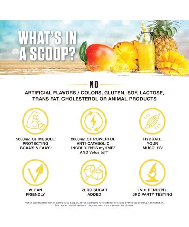 Ambrosia Hydroglyph Intraworkout Formula - BCAA + EAA + Electrolytes Hydration Powder | 0g Sugar Pineapple Mango Drink Mix for Lean Muscle Protection - Buy Online on GoSupps.com