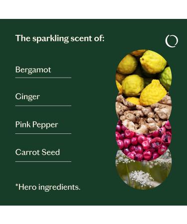 Livedrops 24/7 Energized Essential Oil Blend - Bergamot Ginger Pink Pepper - Natural Aromatherapy for Energy & Focus - Skin-Safe & Diffuser-Ready - Clinically Tested - Crafted in France - Buy Online on GoSupps.com