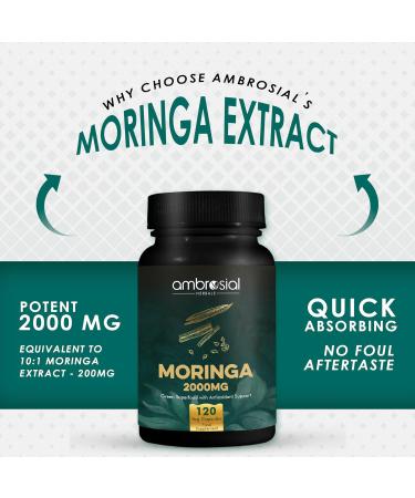 AMBROSIAL Moringa Capsules 2000MG (Pack of 1-120 Veg Capsules) - Buy Online on GoSupps.com