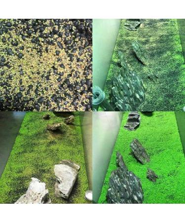 10G Small Hairy Grass Aquarium Aquatic Seeds Garden Water Grass Plant Fish Tank Landscaping Easy Grow - Buy Online on GoSupps.com