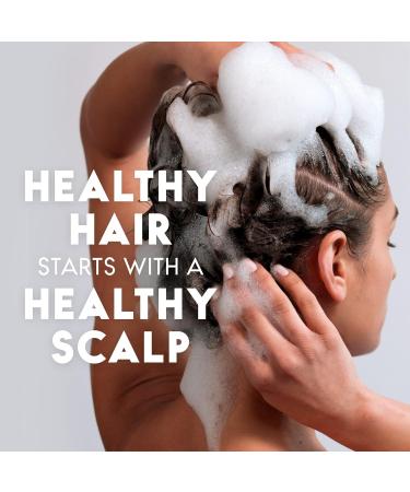 Head & Shoulders Ginger 2-in-1 Anti-Dandruff Shampoo + Conditioner 370 mL - Buy Online on GoSupps.com