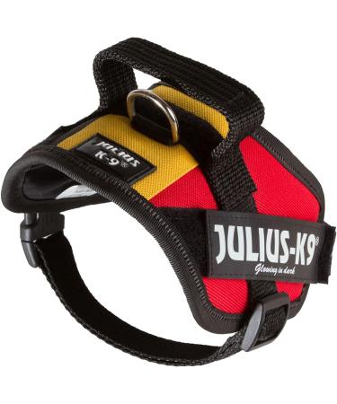 Buy IDC Powerharness S/Mini in Belgian Colors - Premium International Shipping Available! - Buy Online on GoSupps.com