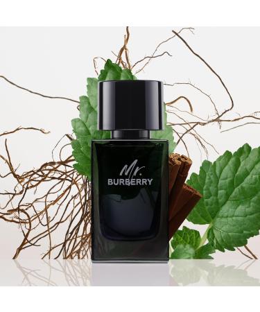 BURBERRY Mr Eau de Parfum Woody Aromatic Men's Cologne With Notes of Tarragon Cinnamon Patchouli & Vetiver Long Lasting Fragrance 5 Fl Oz - Buy Online on GoSupps.com