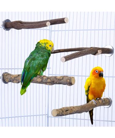 CozyCabin 4 Pcs Bird Perches Parrot Stand, Natural Wood Bird Perch Stand Bird Cage Accessories for Small Budgies Conure Parakeets Cockatiels Lovebirds Style 1