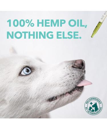 PetPal Organic Pet Hemp Oil for Dogs & Cats - 200 000 Canadian Grown Natural Calming Aid Stress and Separation Anxiety Rich in Omega 3 6 9 Antioxidants Mobility Support Arthritis Hip & and Joint Care. (2oz (60ml)) 60.0 ml (Pack of 1) - Buy Online on GoSupps.com