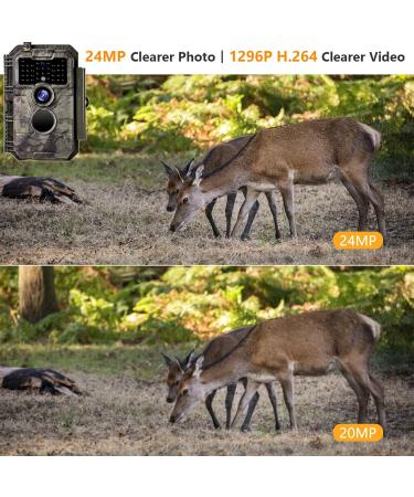 Follow WLAN Wild Camera 24MP 1296P - Wireless Night Vision 23m Range IP66 Waterproof 0.3s Trigger Speed for Wildlife Tracking - Buy Online on GoSupps.com