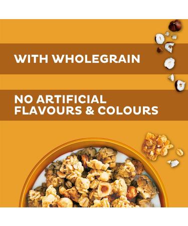 Kellogg's Crunchy Nut Caramelised Hazelnuts Granola 380g - Buy Online on GoSupps.com