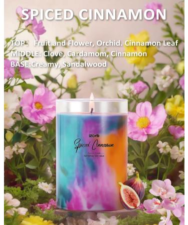 IZIDDO 15oz Cinnamon Aromatherapy Candle - Colourful Scented Candles Long Lasting 90 Hour Burn Perfect Gifts for Home & Special Occasions - Buy Online on GoSupps.com