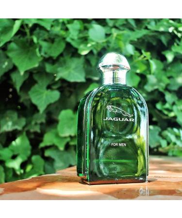 Jaguar 3.40-Ounce (Pack of 2) 3.40 Fl Oz (Pack of 2) - Buy Online on GoSupps.com