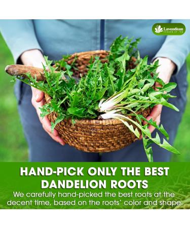Lavendium Premium 120g Natural Dandelion Root 100% Natural & Pure from Dandelion Root Dandelion Herbal Tea No Additives No Caffeine Vegan - Buy Online on GoSupps.com