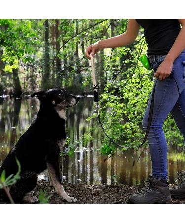 Buy Lionto Dog Collar - Beige Retriever Training Collar 65 cm 1 cm Thick - Perfect for International Shipping - Buy Online on GoSupps.com