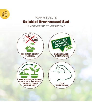 Solabiol Nettle Brew - 1L Biological Plant Strengthener | Natural Solution for Pest Resistance & Plant Health - Buy Online on GoSupps.com