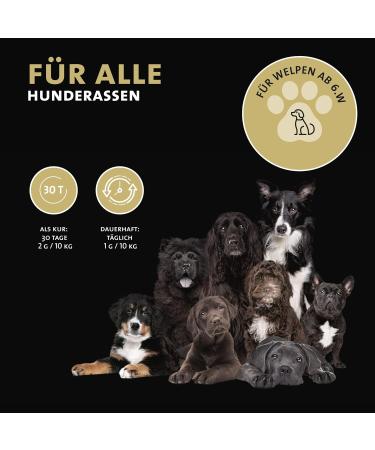 Peticare PetDog Health 2606 Vitality Powder for Dogs Supports Weight Loss and Weight Control Reduces Excess Weight and Boosts Satiety Dietary Supplement - Buy Online on GoSupps.com