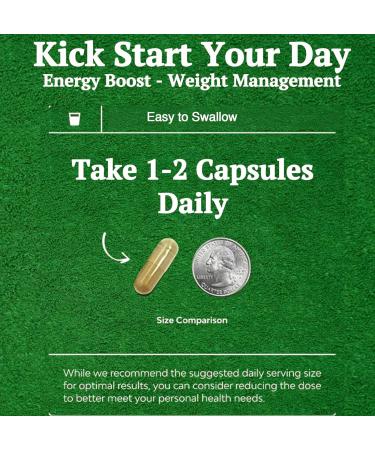 Green Coffee Bean Extract 100% Pure Green Coffee Bean Capsules 50% Chlorogenic Acid 1000 mg Strength 120 Capsules 4 Month Supply Non-GMO and Gluten Free Traditional Herbal Supplement - Buy Online on GoSupps.com