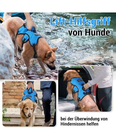 Rabbitgoo Breaking-Proof Dog Harness for Medium Dogs - Breathable Adjustable Padded Vest with Handle Anti-Train Safety Blue - 1 Pack - Buy Online on GoSupps.com