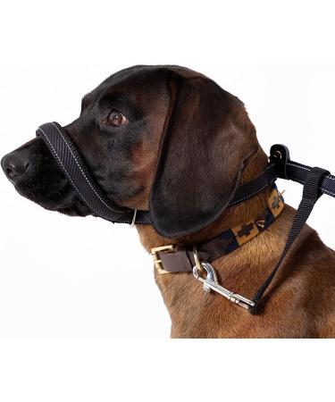 Total Pet Figure of 8 Dog Lead - Flat Anti Pull Stop Dogs Pulling Slip Leads Reflective with Padded Nose Support (210cm) - Buy Online on GoSupps.com