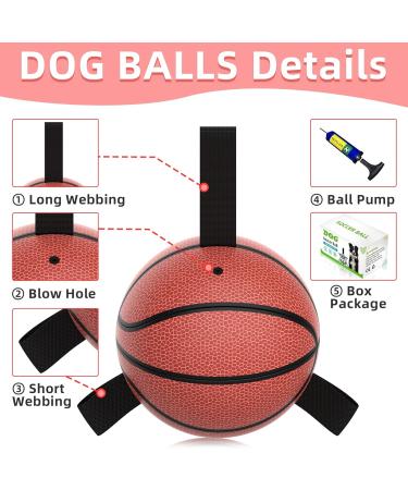 Hetoo Interactive Dog Toys - Basketball Tug-of-War Durable Balls & Puppy Gift for Small to Medium Dogs - Buy Online on GoSupps.com
