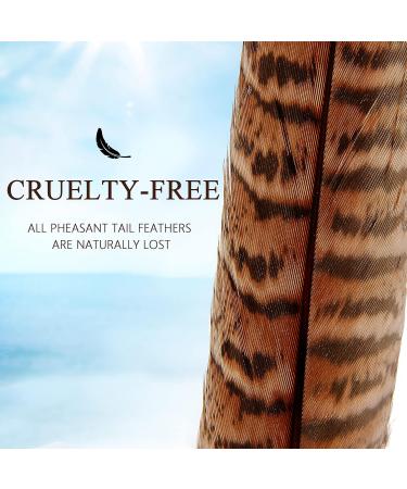 iHUFeather 20pcs Natural Pheasant Female Tails Feathers 6-8inch for DIY Crafts & Decor - Buy Online on GoSupps.com