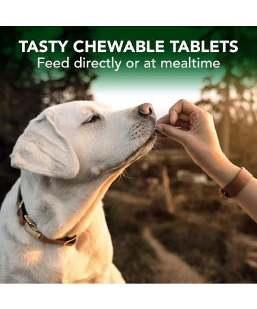 Vet's Best Skin & Coat Dog Supplements | Relieve Dogs Skin Irritation and Shedding Due to Seasonal Allergies or Dermatitis | 60 Chewable Tablets - Buy Online on GoSupps.com