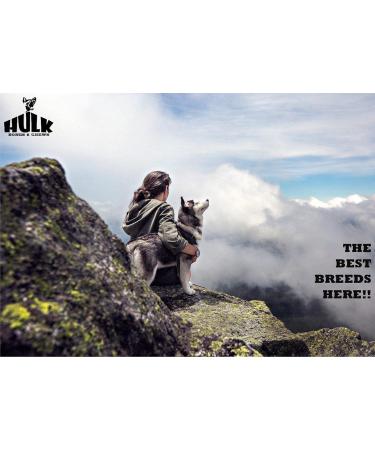 HULK s All-natural Odor Free Bully Sticks for Dogs 3 to 5-inch Sizes (225g+) Pack - 100% Free Range Grass Fed Sourced Beef Sticks for Dogs. Long Lasting Premium Graded Beef Dental Chews. Best Suited Bully Sticks for Puppies and Small Dogs. Free of Hormone - Buy Online on GoSupps.com