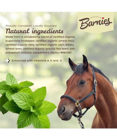 Barnie s All-Natural Horse Treats Vitamin-Enhanced Locally Sourced Canadian-Made Biscuits for Horses | 4 Flavours (Classic Apple Watermelon Peppermint) (1.5kg Peppermint) - Buy Online on GoSupps.com
