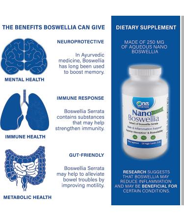 Nano Boswellia 250mg Supplement - Potent Boswellia Serrata Extract - 120 Veggie Capsules - Buy Online on GoSupps.com