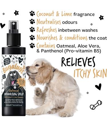 BUGALUGS Oatmeal Dog deodorant deodorising spray with Coconut & Lime scent dog perfume spray with odour neutraliser - vegan dog cologne dog grooming odour eliminator use with oatmeal shampoo Spray 200ml - Buy Online on GoSupps.com
