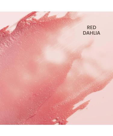 Burt's Bees Lip Tint Balm for Valentine's Day with Long Lasting 2 in 1 Duo Tinted Balm Formula Color Infused with Hydrating Shea Butter for a Natural Looking Buildable Finish Red Dahlia (1-Pack) - Buy Online on GoSupps.com