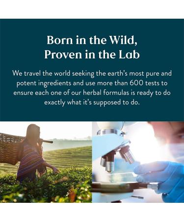 Nature's Sunshine Lecithin 180 Softgels - Healthy Brain and Liver Support - Buy Online on GoSupps.com