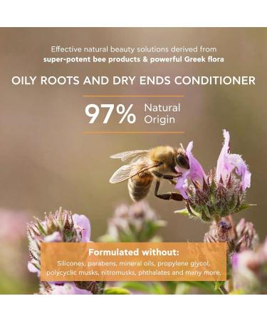 Apivita Conditioner for Oily Roots & Dry Ends - Nourishing Hydrating Volume Boosting Hair Care for Men & Women - Aloe & Vitamin E | 5.07 Fl - Buy Online on GoSupps.com