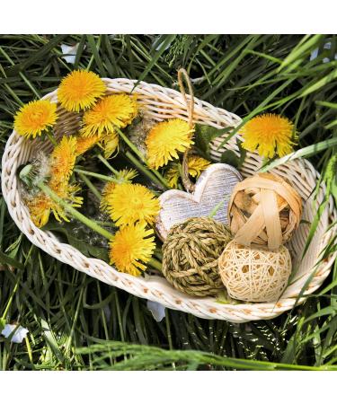9-Piece Chewing Case Set for Small Animals - Natural Grass Toys for Rabbits Guinea Pigs & Chinchillas - Buy Online on GoSupps.com