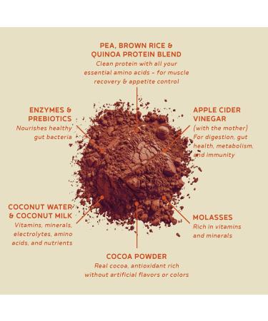 BBfL Plant-Based Protein Shake 21g Vegan Protein Cocoa + Apple Cider Vinegar Prebiotics Digestive Enzymes Supports Gut Health All-in-One Shake for Women & Men (15 Servings Cocoa Cream) Cocoa Cream 15 Servings - Buy Online on GoSupps.com