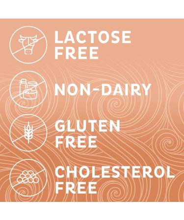 Coffee mate Snickers Liquid Coffee Creamer 32 fl oz (946ml) - Buy Online on GoSupps.com