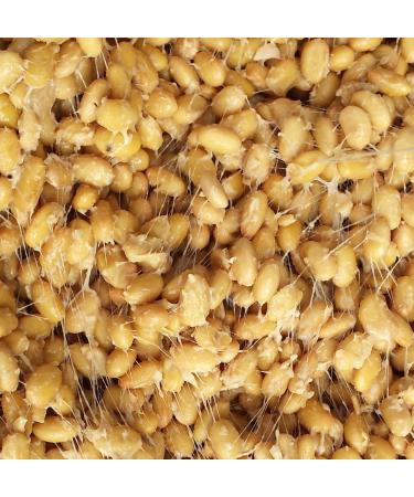 NATTO BIO 4in1 - Vitamin K2 MK7, Nattokinase, Probiotics, Soy Isoflavones - 120 Capsules - Buy Online on GoSupps.com