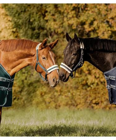 Waldhausen Elegant Halter in Green - Premium VB Size for International Shipping - Buy Online on GoSupps.com