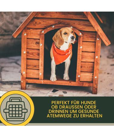 Hustens Juice for Dogs | Thyme & Anise Cough Remedy | Herbal Expectorant for Bronchial Relief | 100ml Airway Calming Solution - Buy Online on GoSupps.com