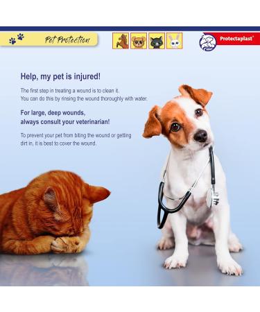 Protectaplast Self-Adhesive Blue Bandage for Pets (8cm x 2m) - Latex-Free & Glue-Free Wound Care for Dogs Cats & Horses - Buy Online on GoSupps.com