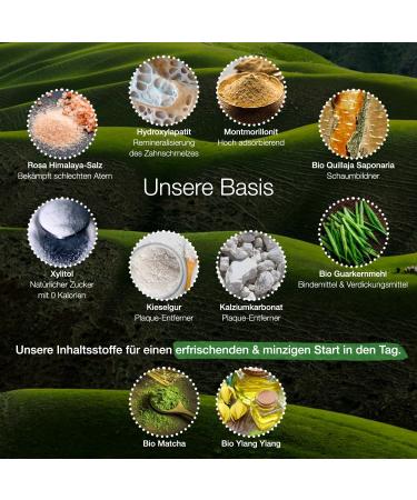 NATCH Fluoride-Free Tooth Cleaning Tablets 85 Natural Vegan Foaming Toothpaste Tablets with Matcha & Ylang Ylang | Eco-Friendly & Plastic-Free - Buy Online on GoSupps.com