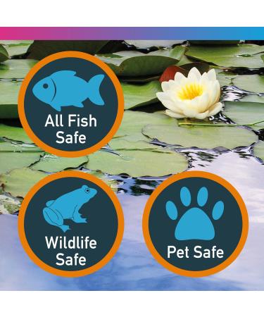 NT Labs Pond Mature 1000ml - Live Filter Bacteria for Pond, Breaks Down Fish Waste, Prevents Ammonia & Nitrite - Buy Online on GoSupps.com